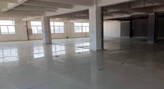 广州番禺 江南村工业一区工业生产厂房800㎡ 厂房租售