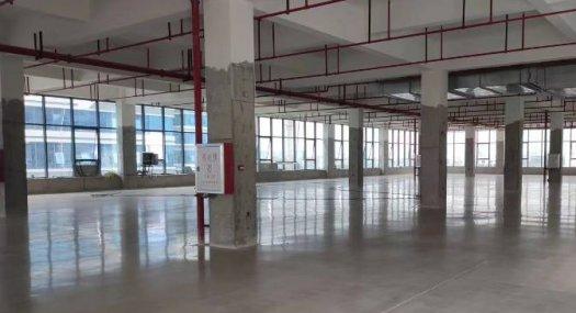 增城高新，专精特新，国有产权50年（全新厂房）