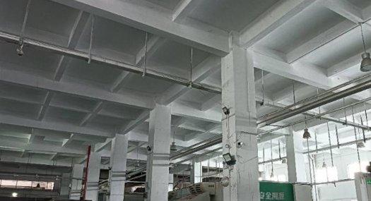 广州番禺 2200㎡ 厂房租售层高10米 可环评 可分租