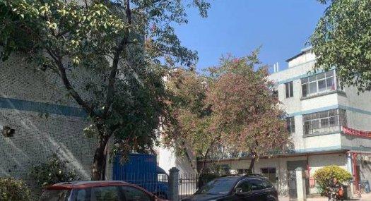 广州白云 白云湖物流园同创科技园2000㎡ 厂房租售 独院