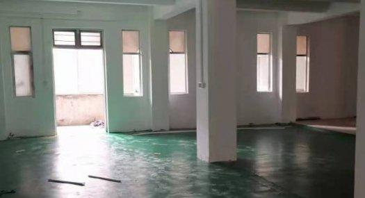 广州白云 白云区江高镇高塘江德七街21号3000㎡ 框架厂房出售 可分租