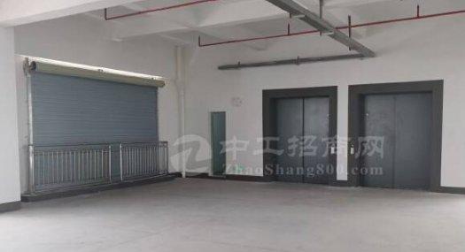 广州番禺 番禺区标准工业园区全新厂房出租 可分租60000㎡ 厂房租售 可环评 可分租