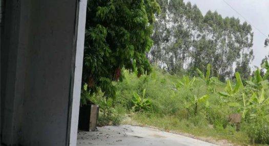 广州白云 石井大道同创科技园550㎡ 库房租售层高3.3米 一楼