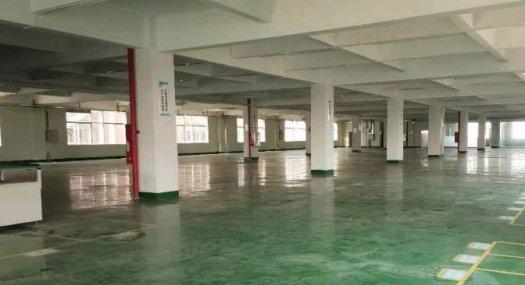 南沙东涌5600平方厂房新装修厂房出租