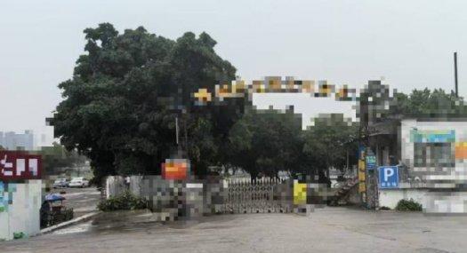 广州白云 人和镇镇湖村龙洞坑口24000㎡ 空地租售