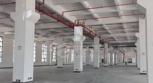 广州番禺 番禺区标准工业园区全新厂房出租 可分租60000㎡ 厂房租售 可环评 可分租