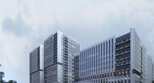 广州南沙 南沙庆盛枢纽南二环以北、东部快线以西315000㎡ 厂房租售跨度37米 可分租