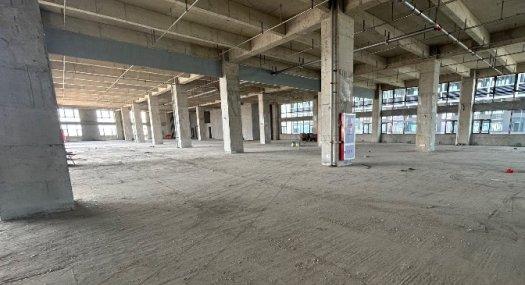 广州荔湾 广州市荔湾区广州园旁40000㎡ 厂房租售层高6.5米 配电380KVA 独院 可分租