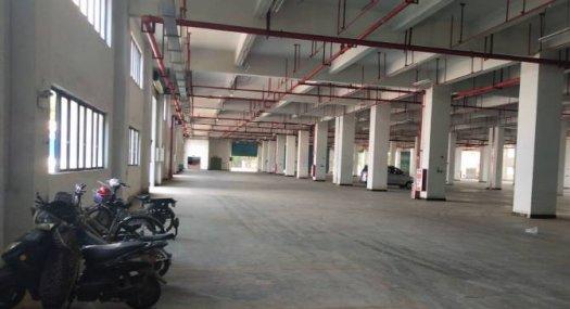 广州黄埔 10000㎡ 厂房租售层高4.5米 可环评