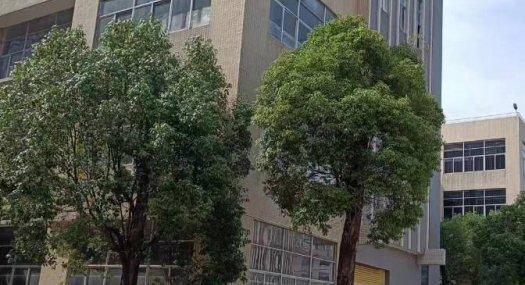 欣南科技产业园全新厂房出租