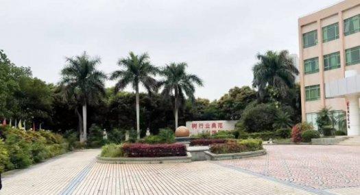 惠州惠阳 白云坑工业区西一大道11号66000㎡ 钢结构厂房租售 可分租