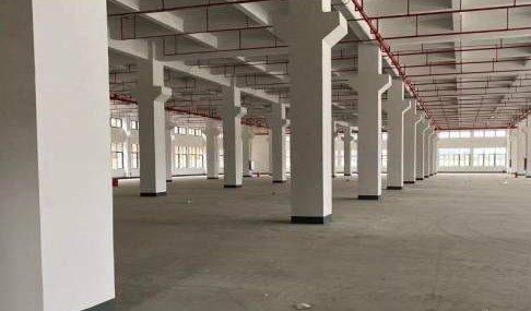 大亚湾原房东急租全新独院标准厂房29000平1楼7M带牛角