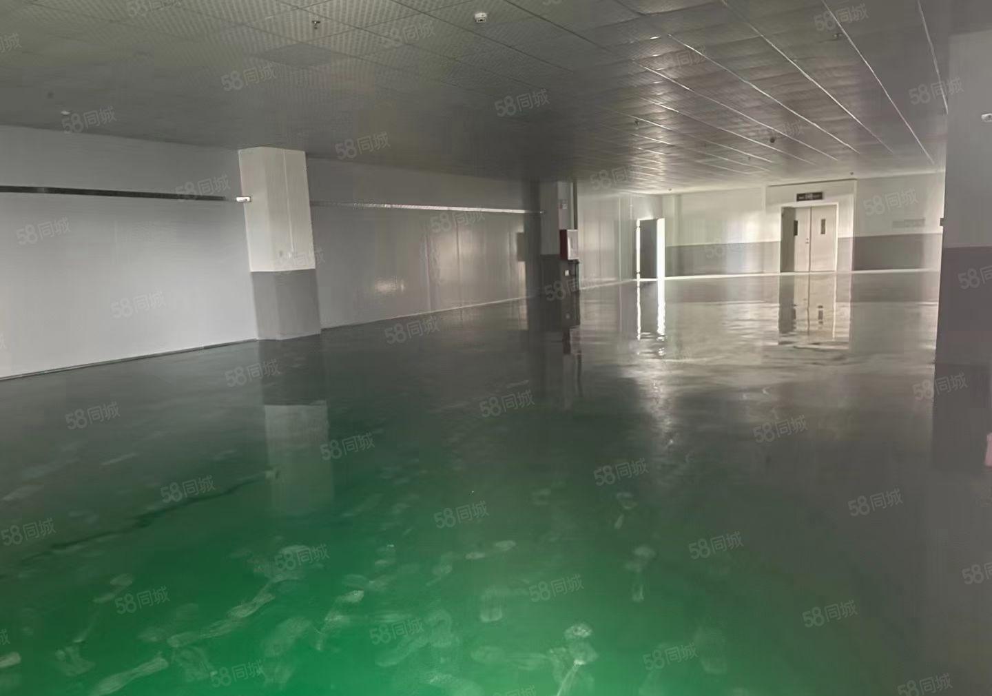 水口新房源带装修的楼上厂房，原房东出租，面积2200平方，