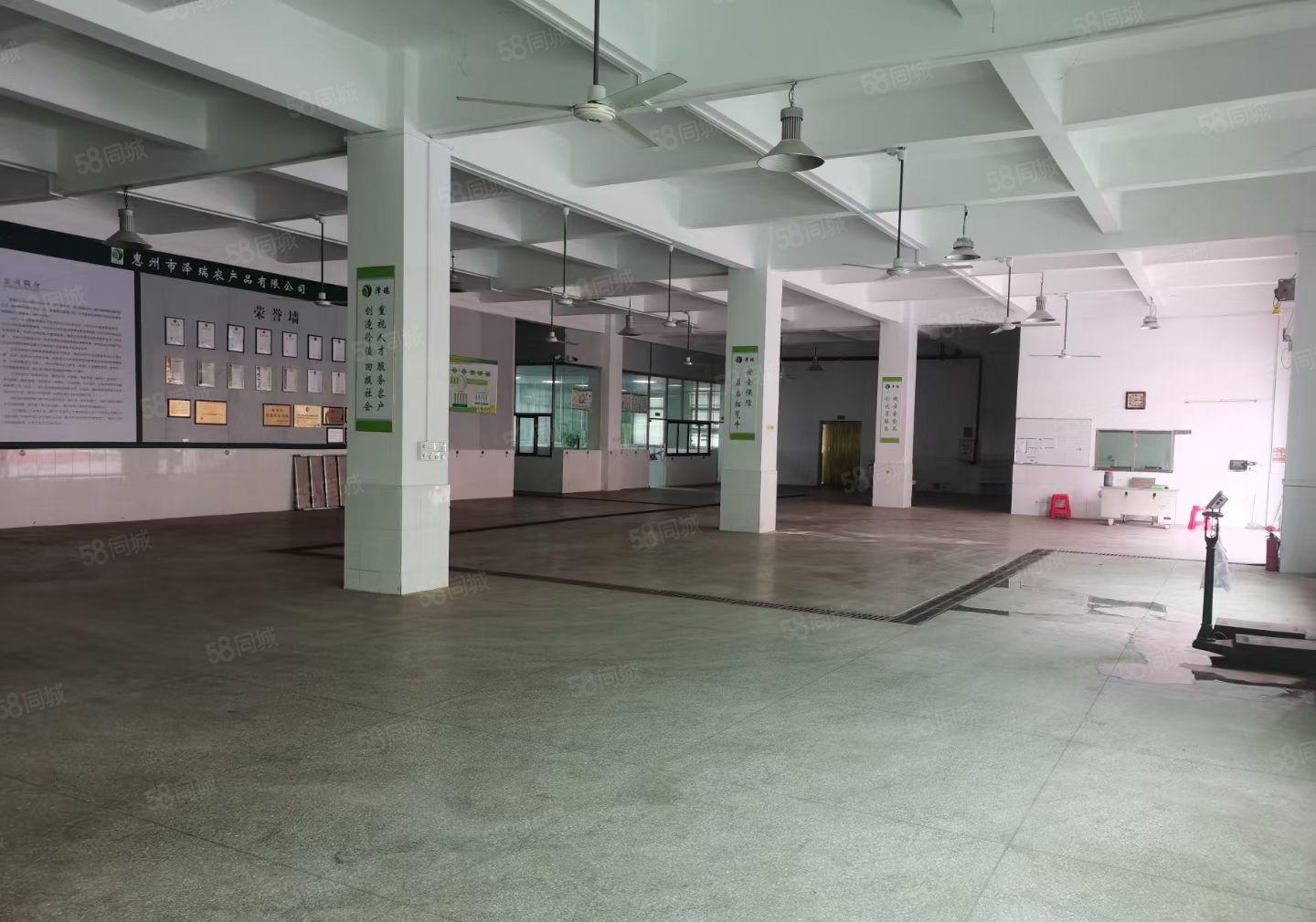 水口龙湖市场旁工业园一楼700平米 层高5.5米 租金16元