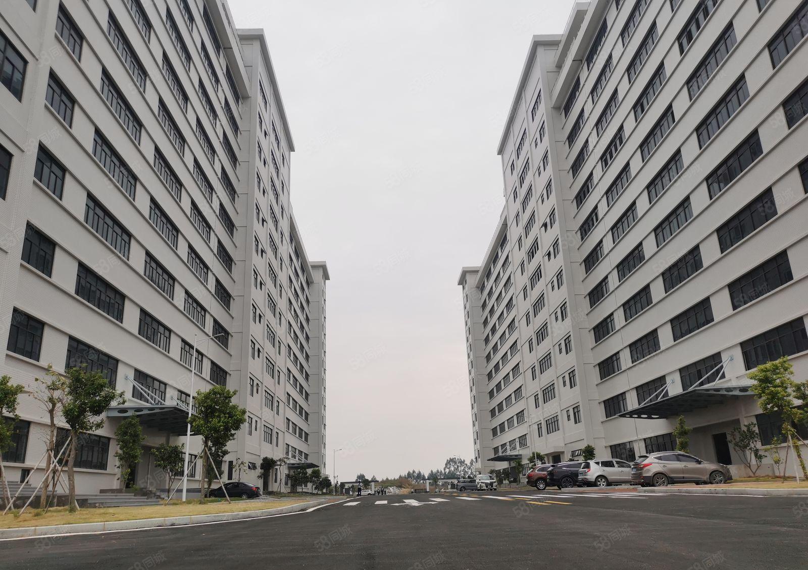 9元厂房出租水口工业区38万平方200平方起分租