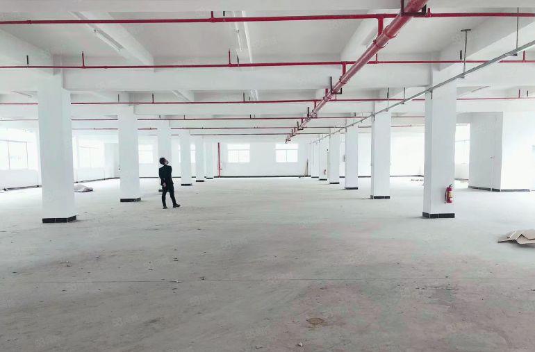 5块！水口东江湾工业区新出单层2600平厂房仓库低价出租