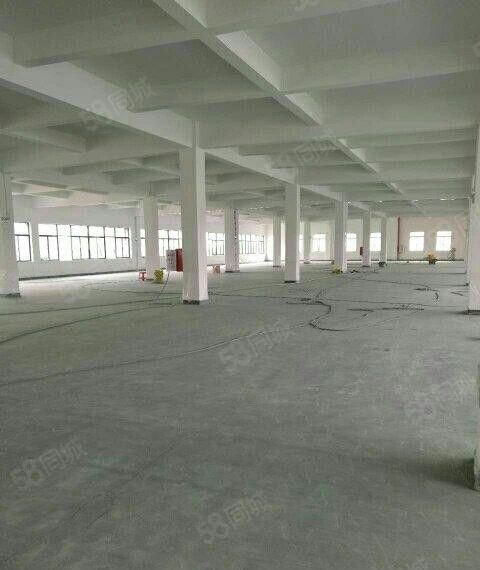 新盘招租，马安新乐厂房正式启用，形象好，位置佳，空地超大