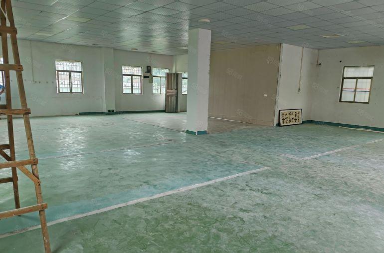 惠城水口独门独院厂房 交通便利有三相电 适合加工生产电商等