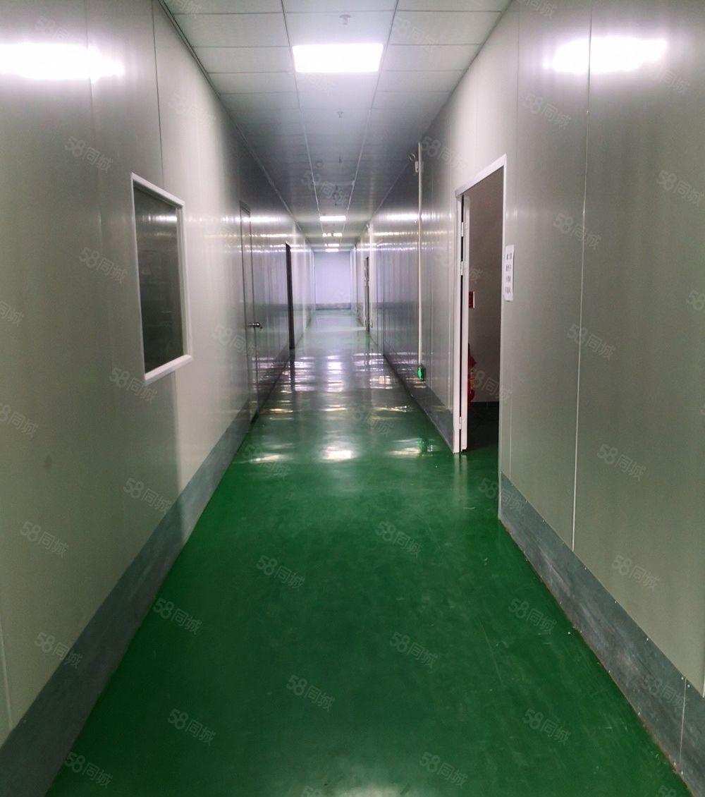 马安工业园楼上1350平方带装修厂房招租 价格实惠 拎包即用