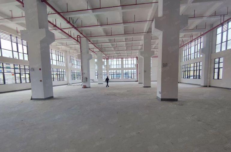 马安新乐工业区全新标准厂房单层1300平起低价出租