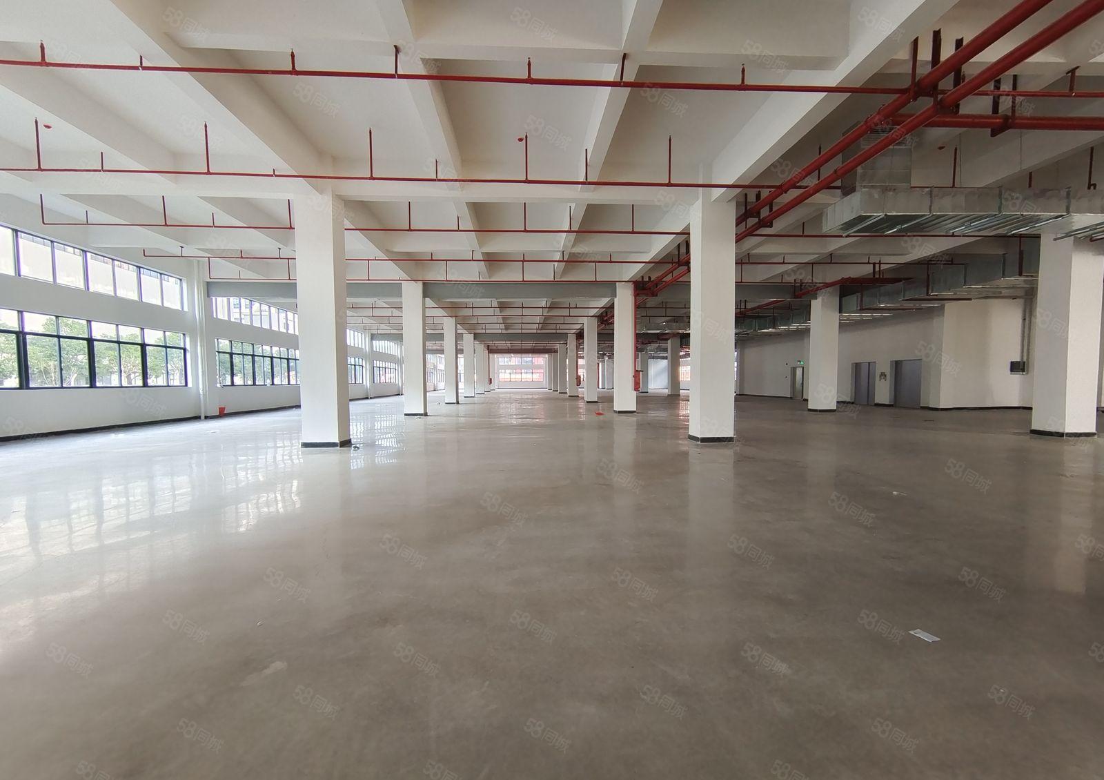 马安平潭全新红本工业园11元出租空地大好招工可办环评