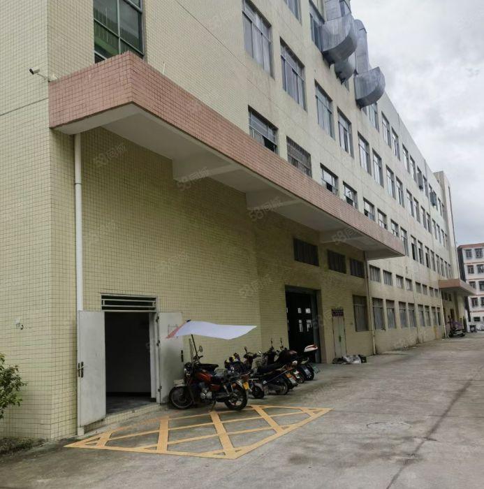 三栋一二层单层2300平方红本厂房招租首层高6米