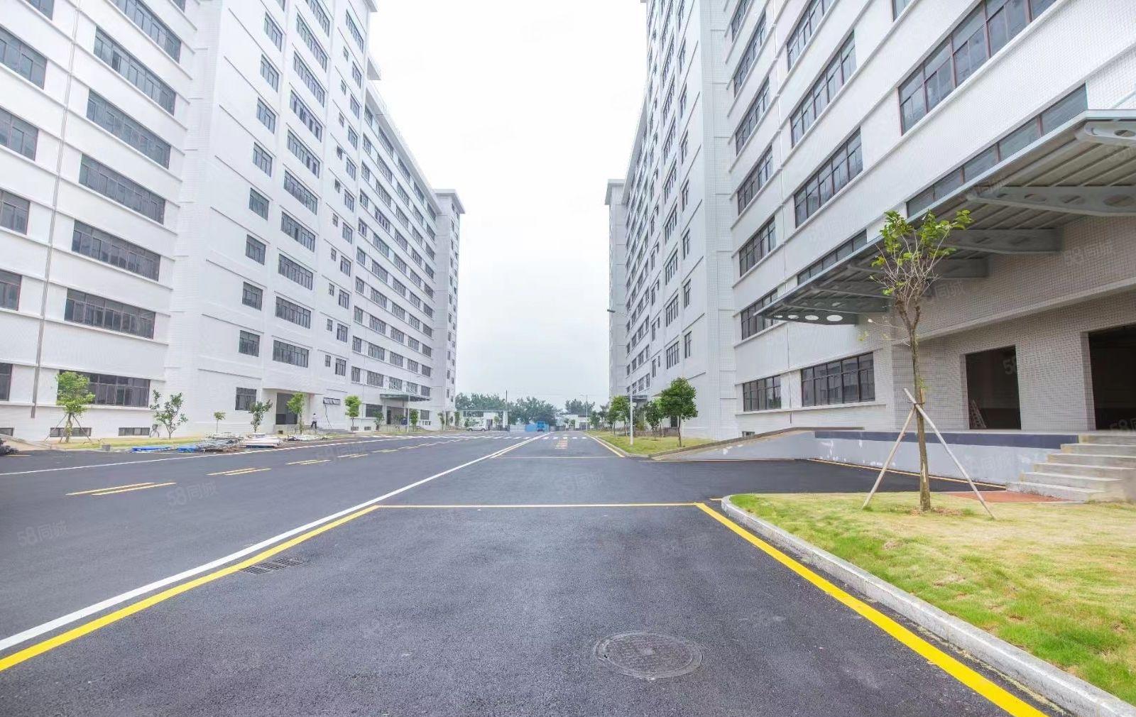 水口工业区全新红本厂房6500平 面积可分租 租金10元起