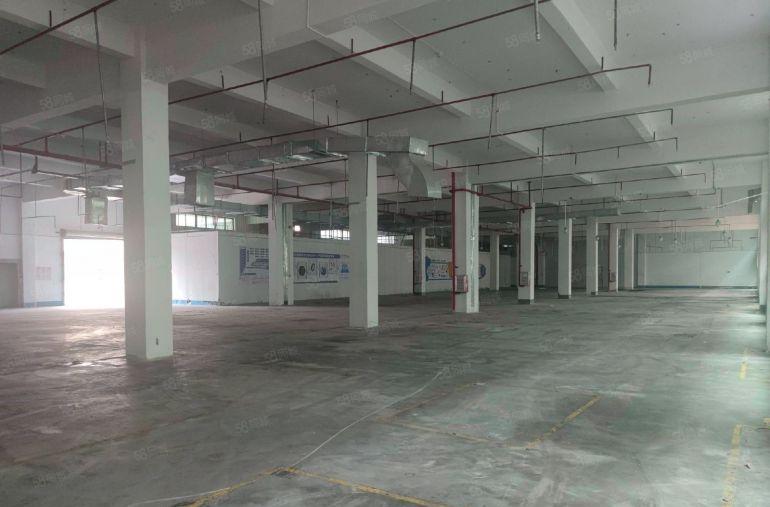 三栋镇原房东11000平独门独院厂房 低价出租