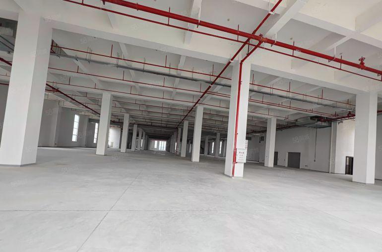 仲恺新出红本独门独院超大空地标准厂房8600平方可分租