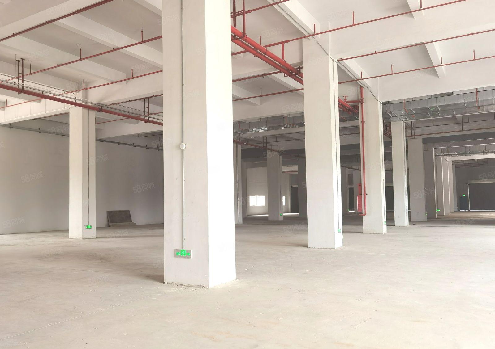 原房东的标准厂房出租，可以分租价格可以谈，环境好，容易招工