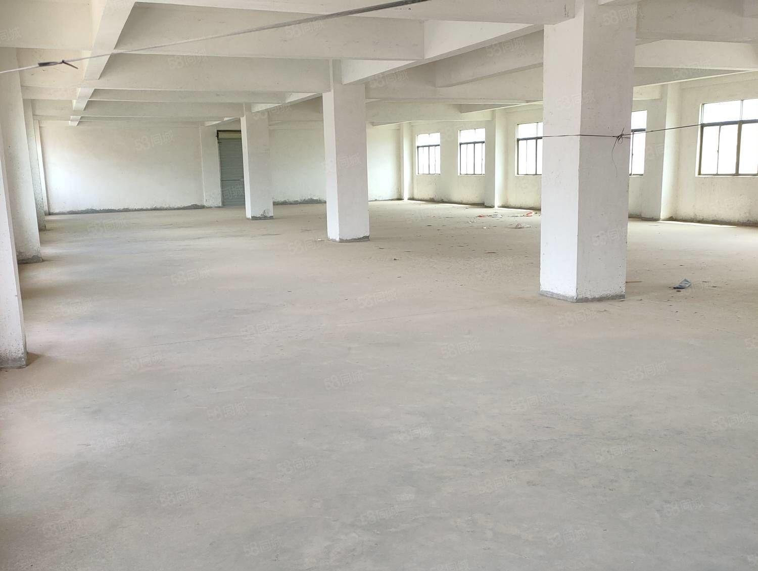 惠城区小金口独门独院三层2600平方，一楼高度6米！