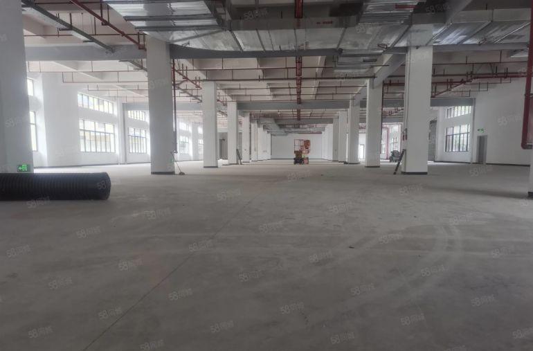 马安独门独院厂房出租