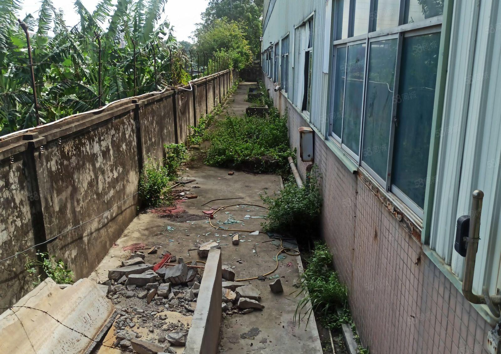 水口钢构8米高12000平方400平起分租 架行车中间无柱子