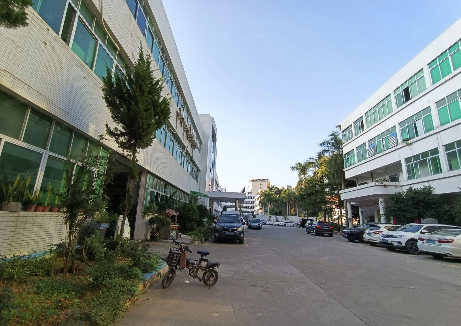 带装修！现成办公室！水口新出标准一楼1000平方水电齐全！！