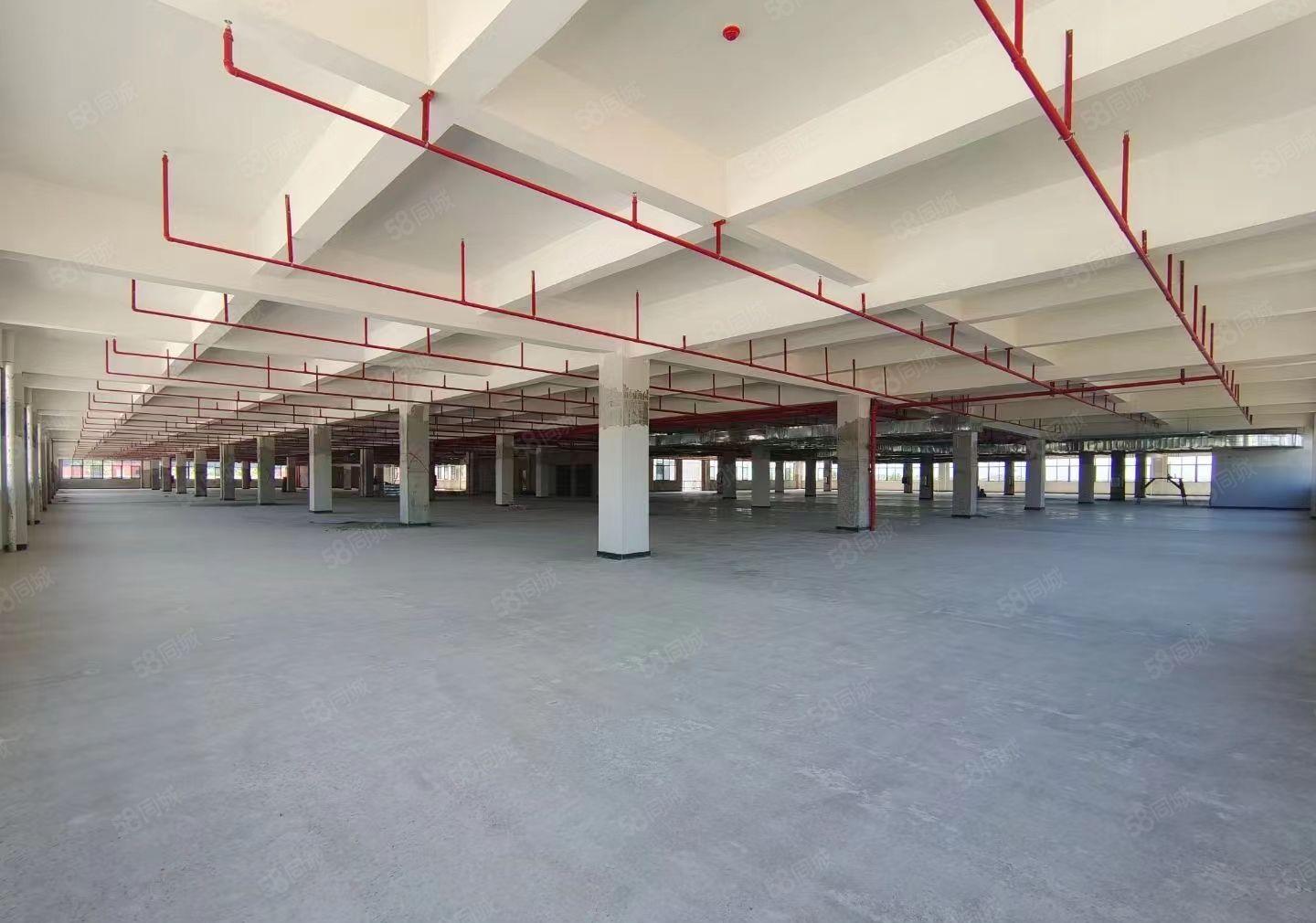 下角一楼6600平，证件齐全，配电按需，好招工