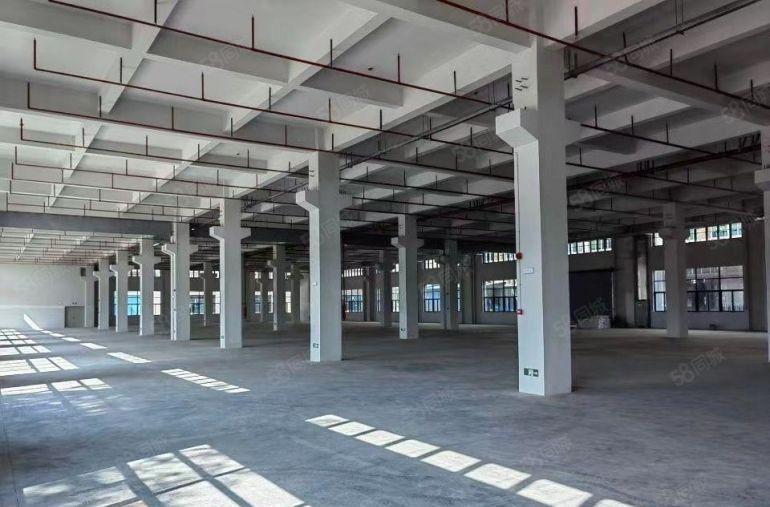 厂房出租惠城区三栋镇独栋标准厂房红本环评可整可分一楼带牛角