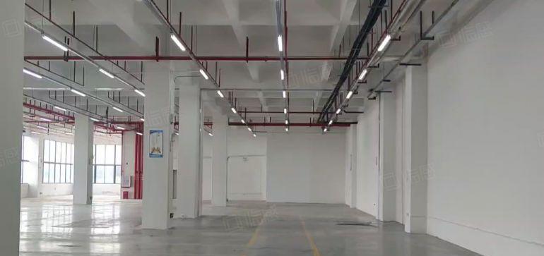 低价带装修一楼惠城三栋良井精装修2000平厂房出租仓库出租