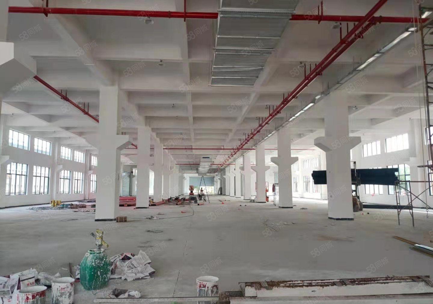 东江高新区全新园区招租，3000平米，租金实惠