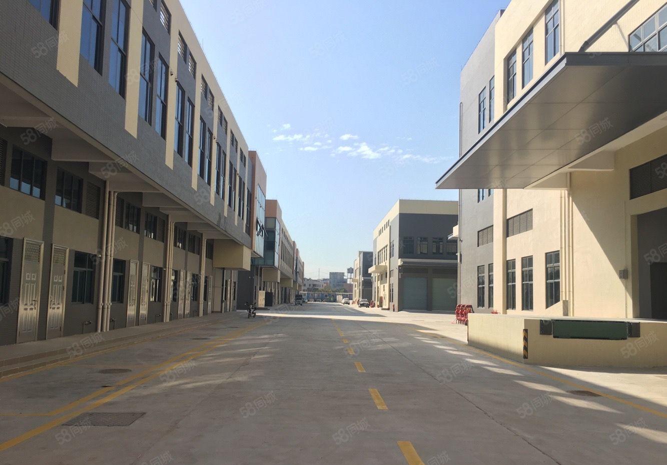 惠城区江北标准物流仓库招租（可分租）