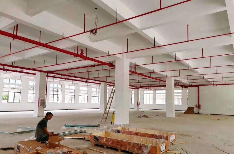 惠惠城区水口原房东标准厂房4500平方出租