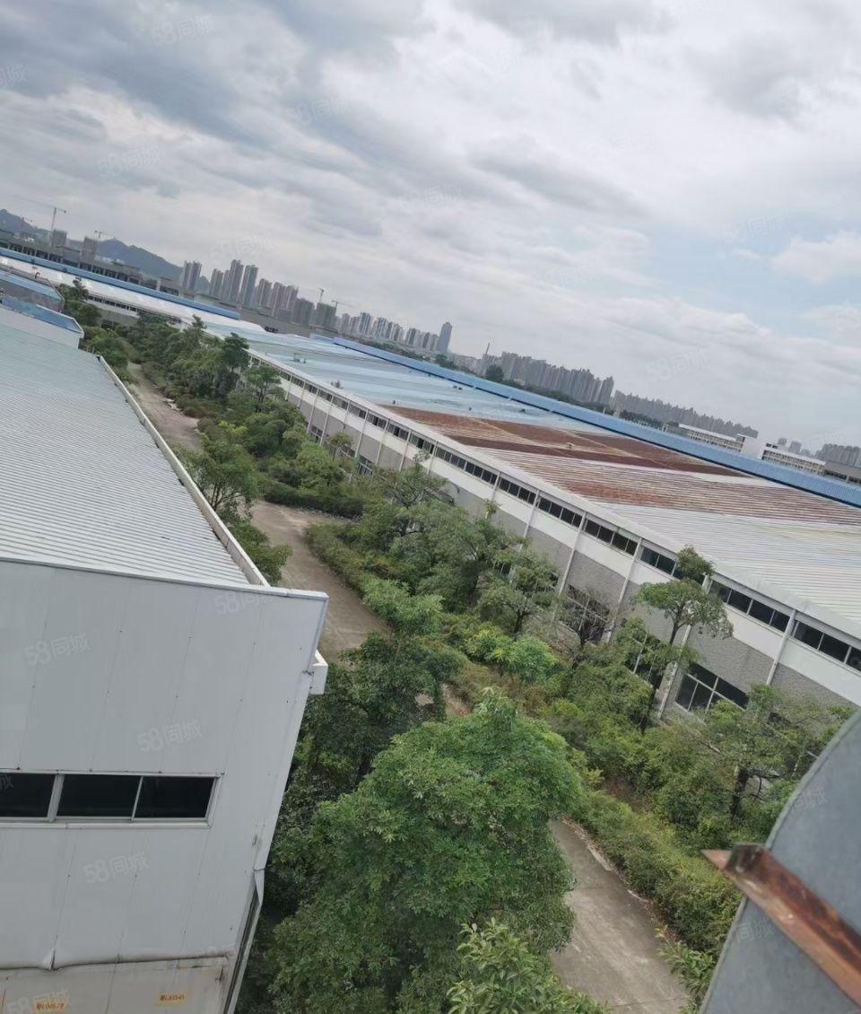 惠城区马安镇10万平方钢构厂房出租