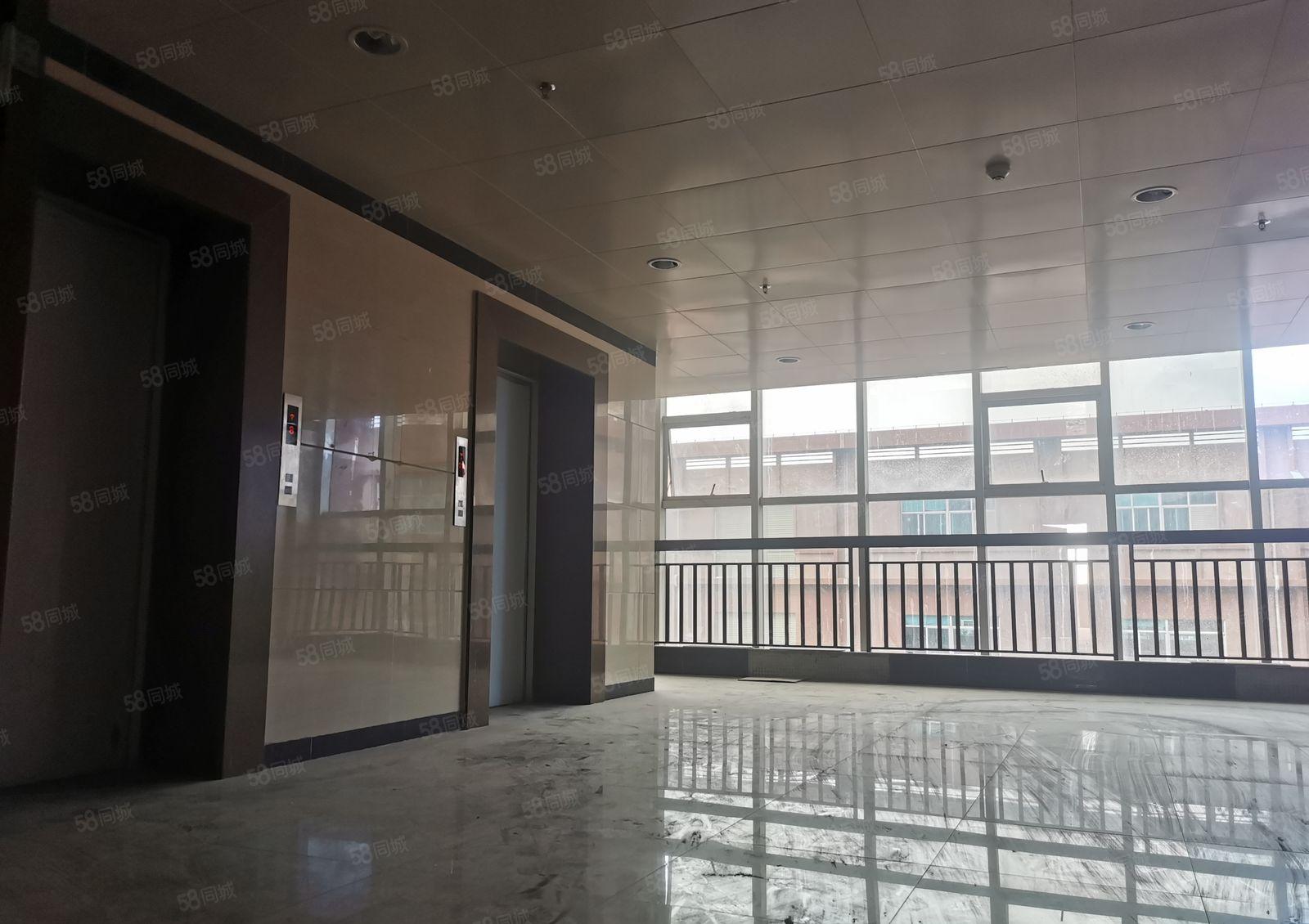 三栋镇全新厂房出租出售300平方起分租