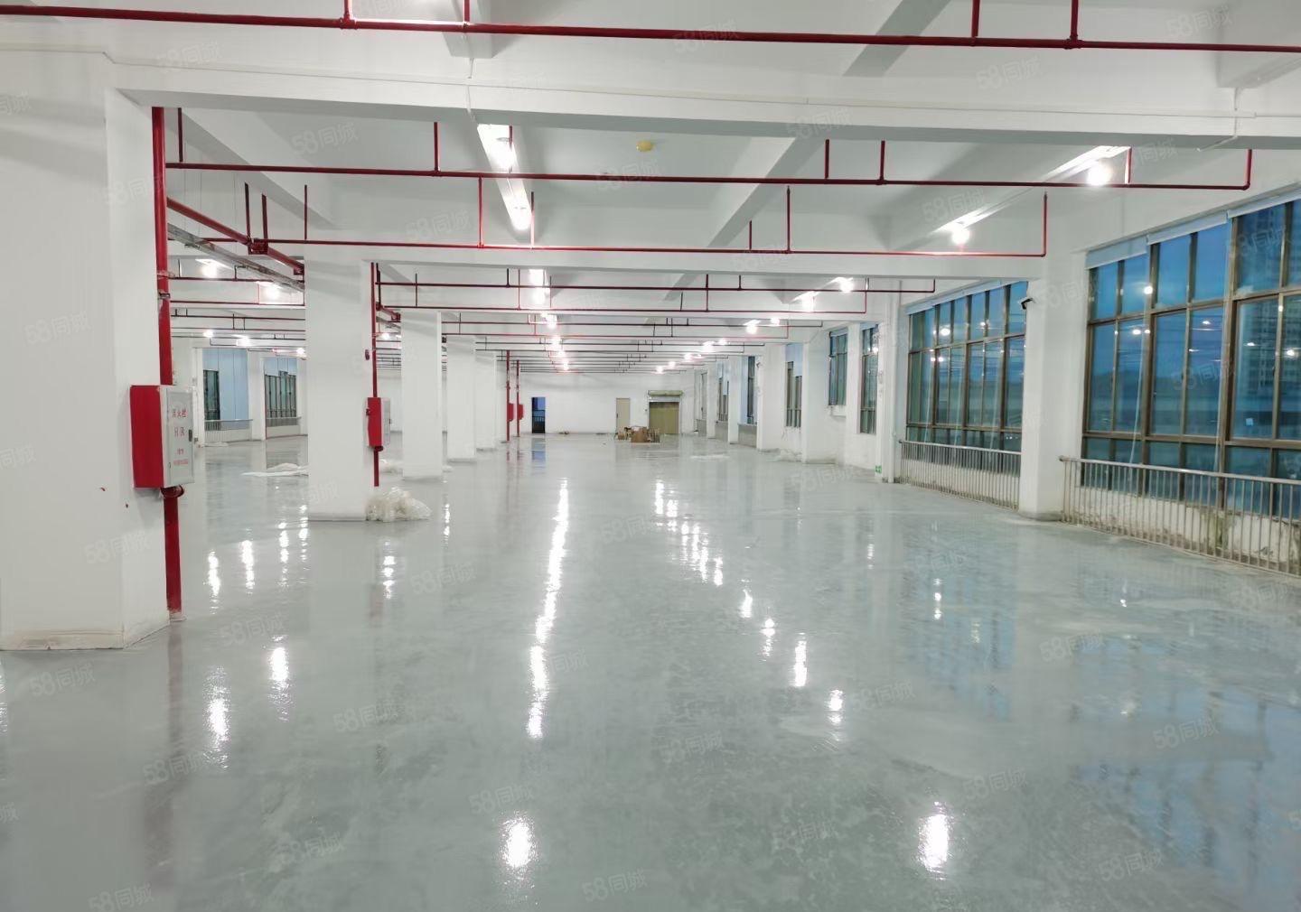 (精装修)东江高新区花园式厂房1700平出租证件齐全