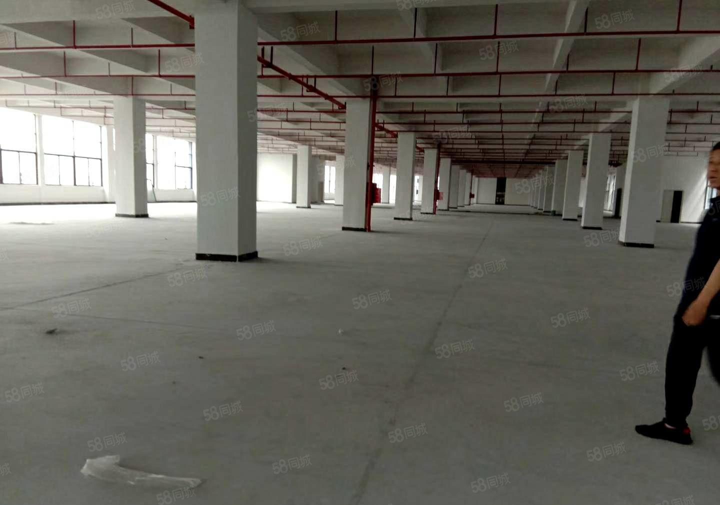 惠州市惠城区原房东独院标准厂房3万方，上市公司