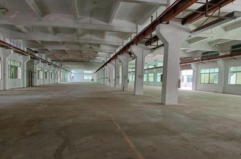 惠城区小金口原房东独院厂房出租6800方，1000起租