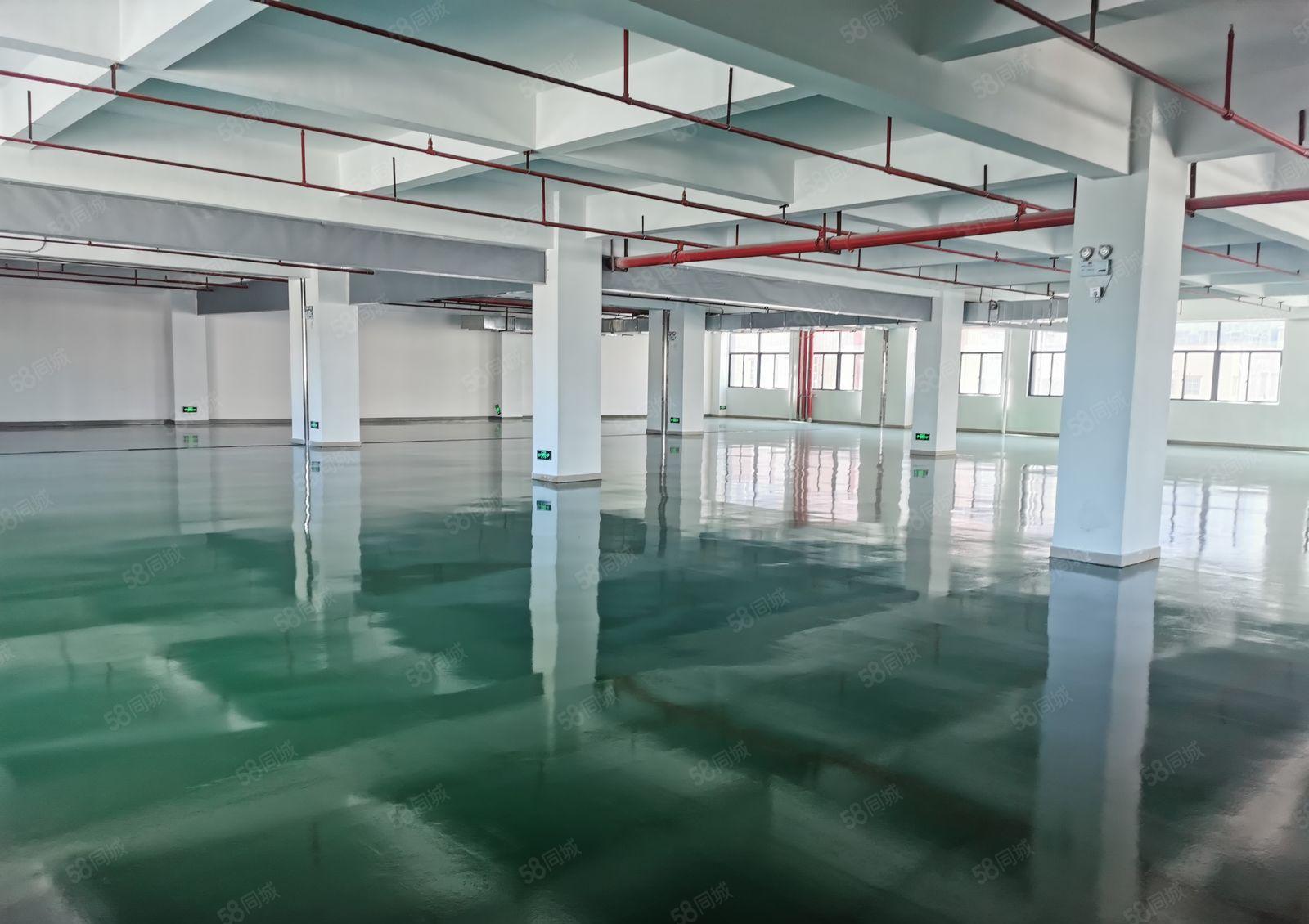 惠州三栋数码园新出原房东独院38000平方厂房也可分租