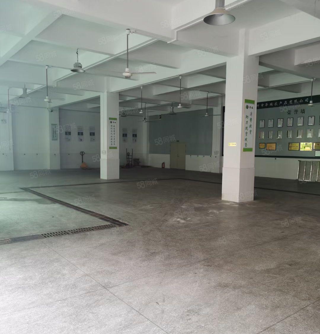 小金柏岗独院厂房3200平米出租 租金13元 有证件 可分租