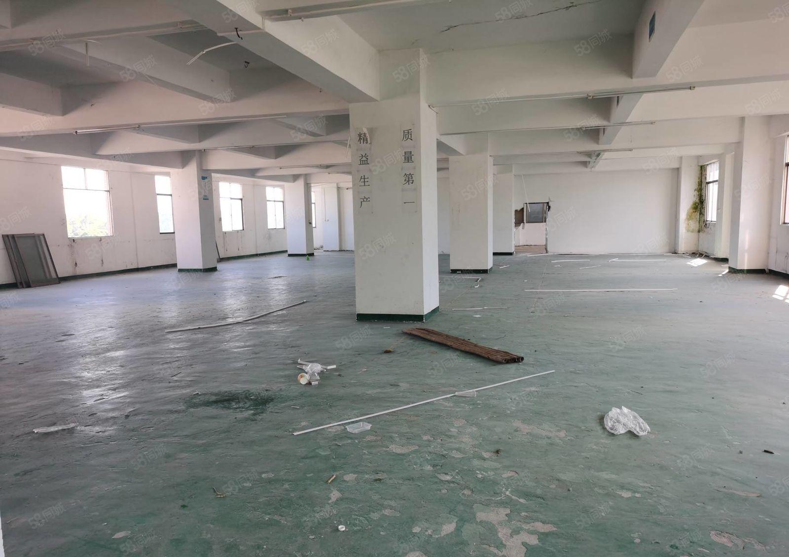 小金口青塘独院3200平方厂房出租价格实惠交通方便