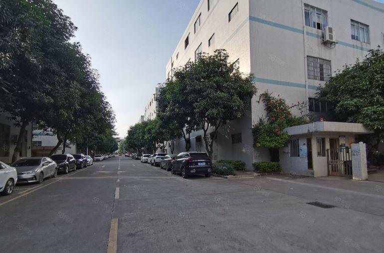 惠州水口1000平厂房出租仓库可分租带货梯精装办公室交通便利