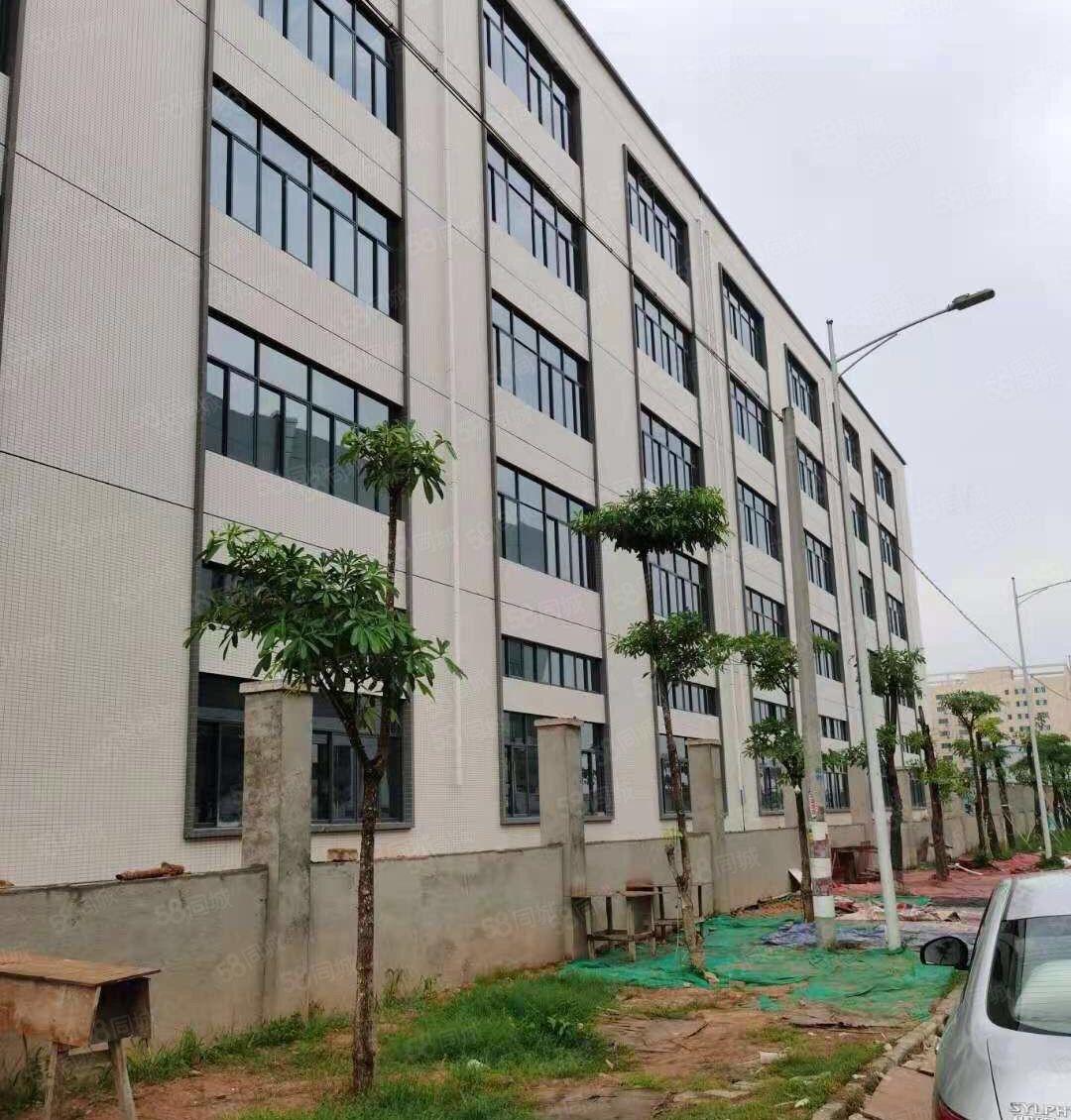 三栋镇新出花园式独院厂房